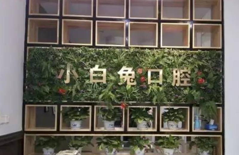 延安小白兔口腔医院怎么样？做牙齿种植项目好不好？医院介绍附案例和价格表！