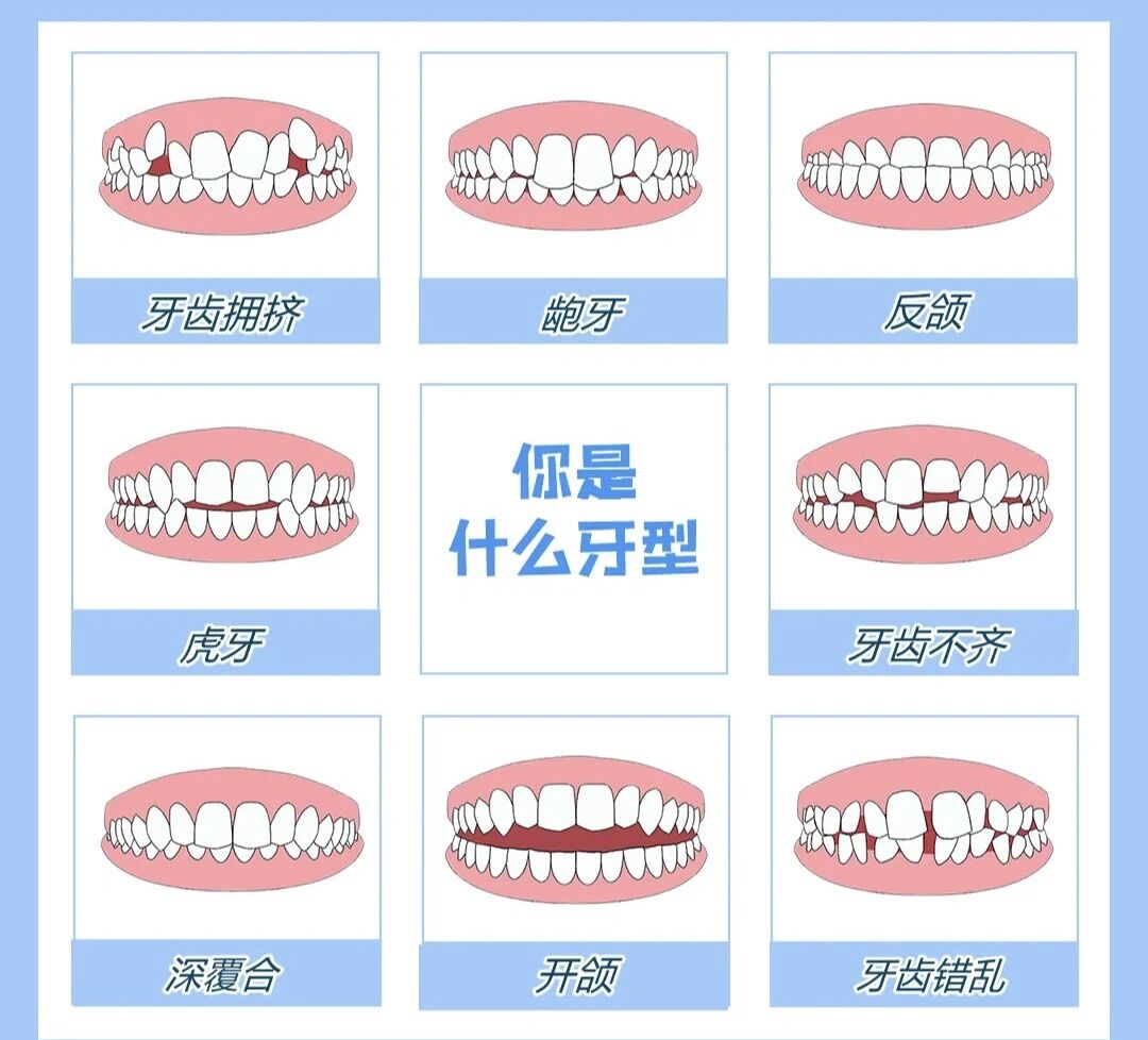 牙齿正常咬合与不正常咬合的了解
