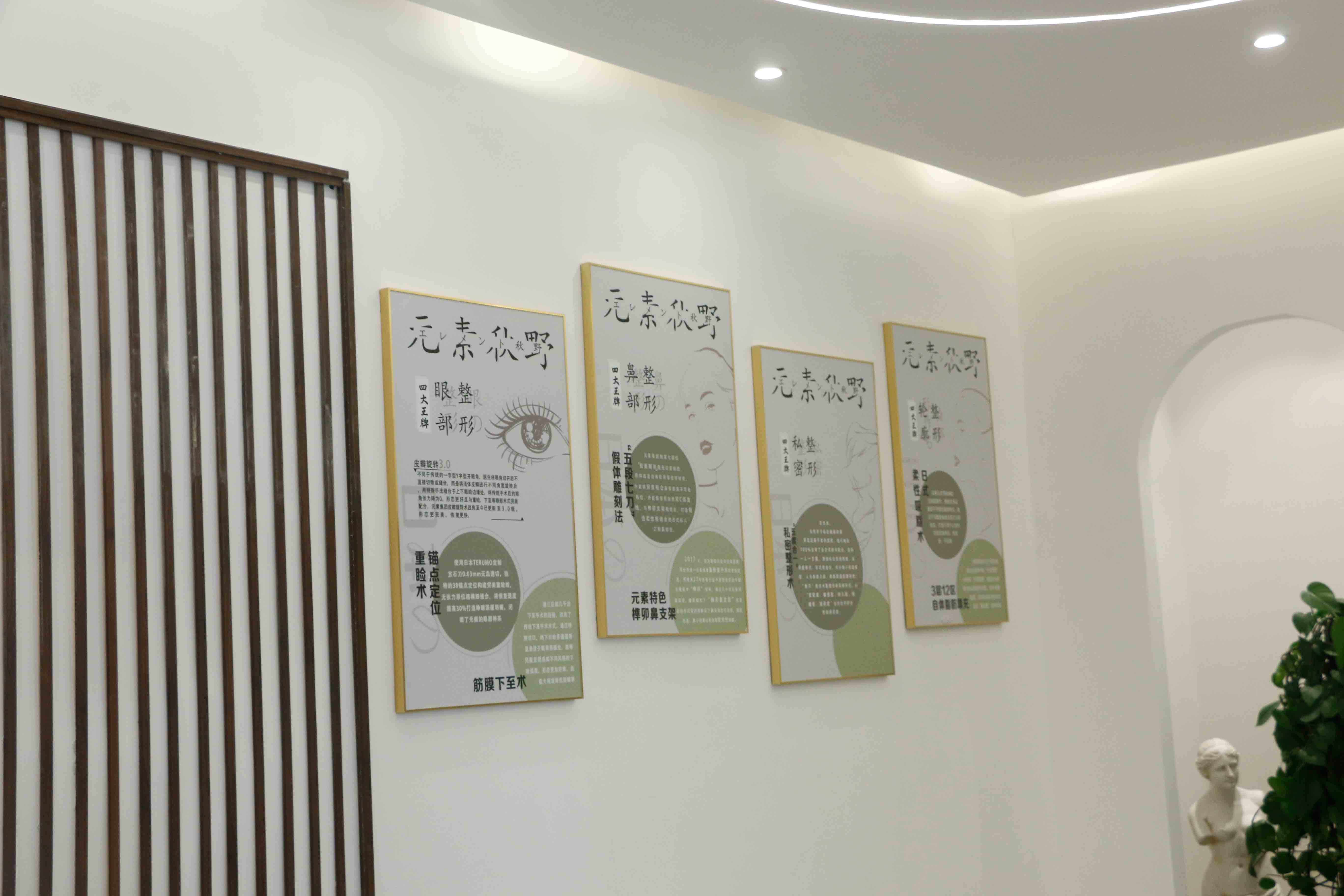 郑州假体垫鼻基底价格在线公布(2024郑州假体垫鼻基底参考价为：47086元)