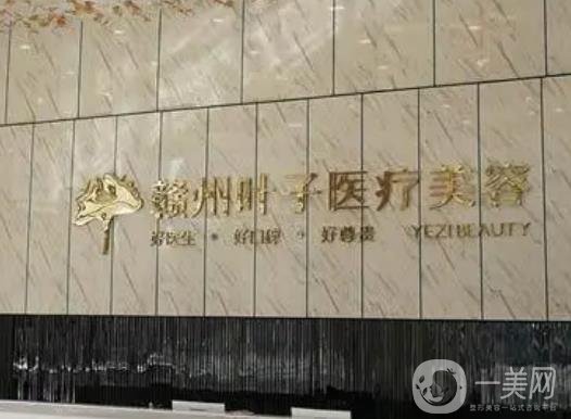 赣州耳再造价格在线公布(2024赣州耳再造参考价为：17984元)