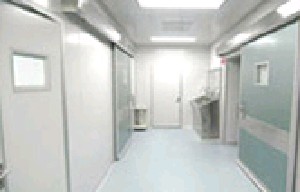 武汉黑脸娃娃价格表线上公布(2024武汉黑脸娃娃参考价为：44813元)