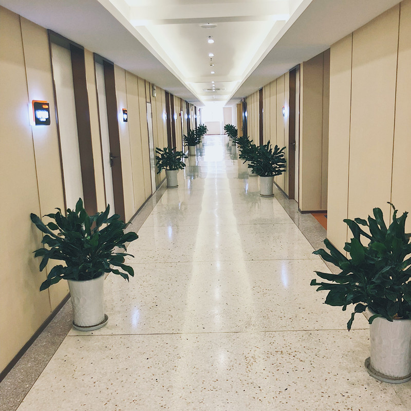 南通自体脂肪隆眉弓价格表线上公布(2024南通自体脂肪隆眉弓参考价为：31514元)