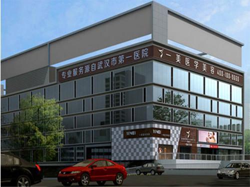 武汉耳再造价格表线上公布(2024武汉耳再造参考价为：18137元)