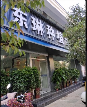 临汾根管治疗价位表2024新版全网发布(2024临汾根管治疗参考价为：1003元)