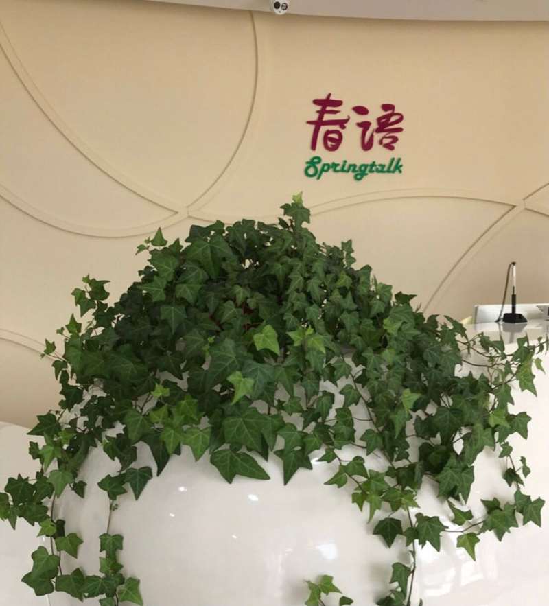 合肥美体塑形收费价格表，中医减肥：1617\小腿塑形：4367起