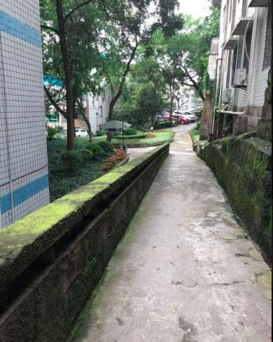 重庆眼部整形收费价格表，做卧蚕失败修复：2847\眼综合：4062起