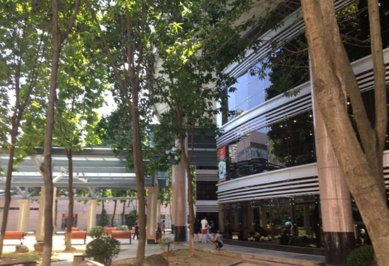 东莞私密整形收费价格表，阴蒂缩小：2184\修复隐睾：524起