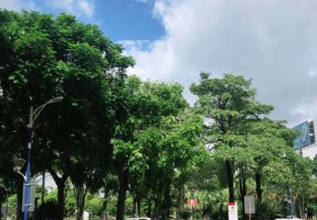 东莞康兴医院私密整形收费价格表，阴蒂体切除：4211\阴蒂暴露：3243起