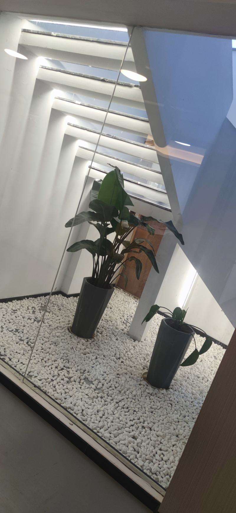 海口鹏爱鼻部整形收费价格表，隆鼻整形：384\鼻尖整形：820起