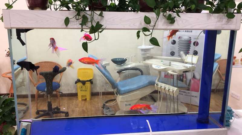 三门峡口腔整形收费价目表，种植牙：2943\牙齿缺损修复：614起