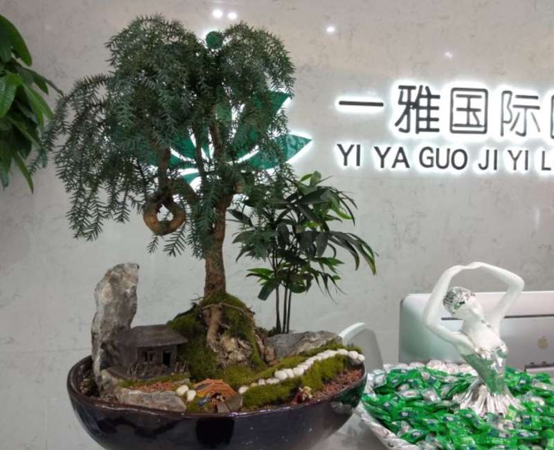 长沙鼻部整形收费价目表，鼻翼整形：334\延长鼻小柱：1319起