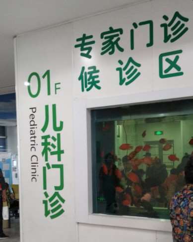 苏州大学附属儿童医院胸部整形收费价格表，胸型美化：234\胸部修复：2816起