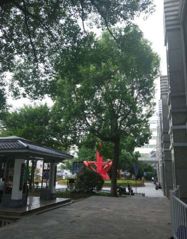 苏州鼻部整形收费价目表，隆鼻整形：381\去鼻唇沟：3130起