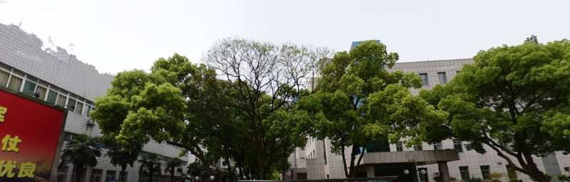 九江鼻部整形收费价目表，去鼻唇沟：3033\肥厚鼻尖鼻翼矫正术：4300起