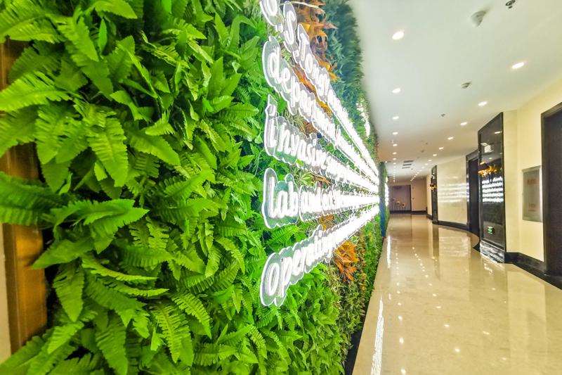 沈阳面部轮廓收费价格表，面部提升：26\轮廓三件套：3732起