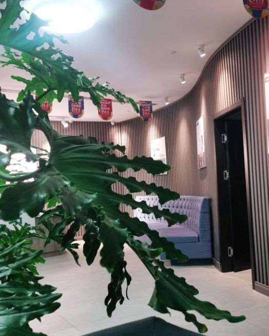青岛眼部整形收费价目表，眼角修复手术：2606\眼部修复：2382起