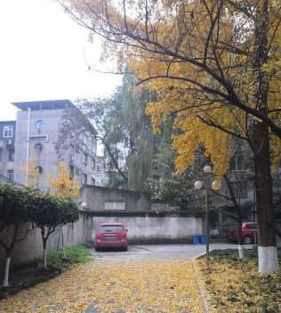 成都四川省中西医结合医院美体塑形收费价格表，注射塑形：2114\瘦腿：3335起