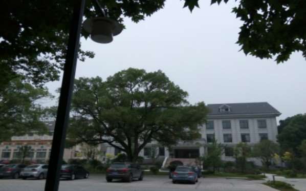 杭州滨美健康管理有限公司滨盛路医疗美容鼻部整形收费价格表，蒜头鼻治疗：4267\酒糟鼻治疗：676起