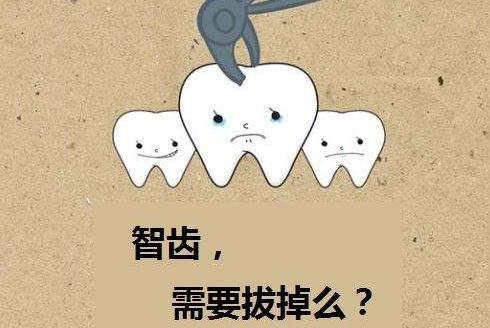 牙齿烂了一个洞怎么办？