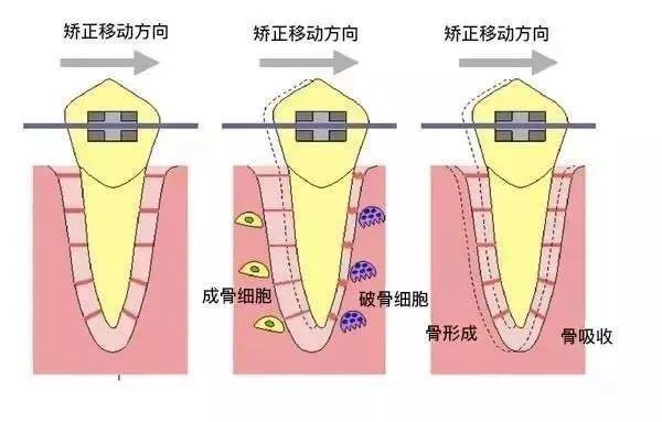 2025年新焦作地区口腔医