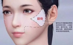 重庆自体脂肪丰卧蚕价格