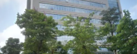 肇庆中大口腔医院怎么样？内附价格表