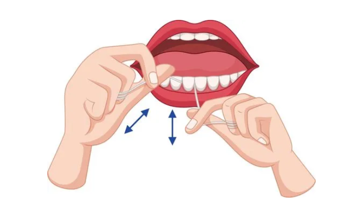 牙线和牙缝刷哪个好？使用方法跟适用人群介绍