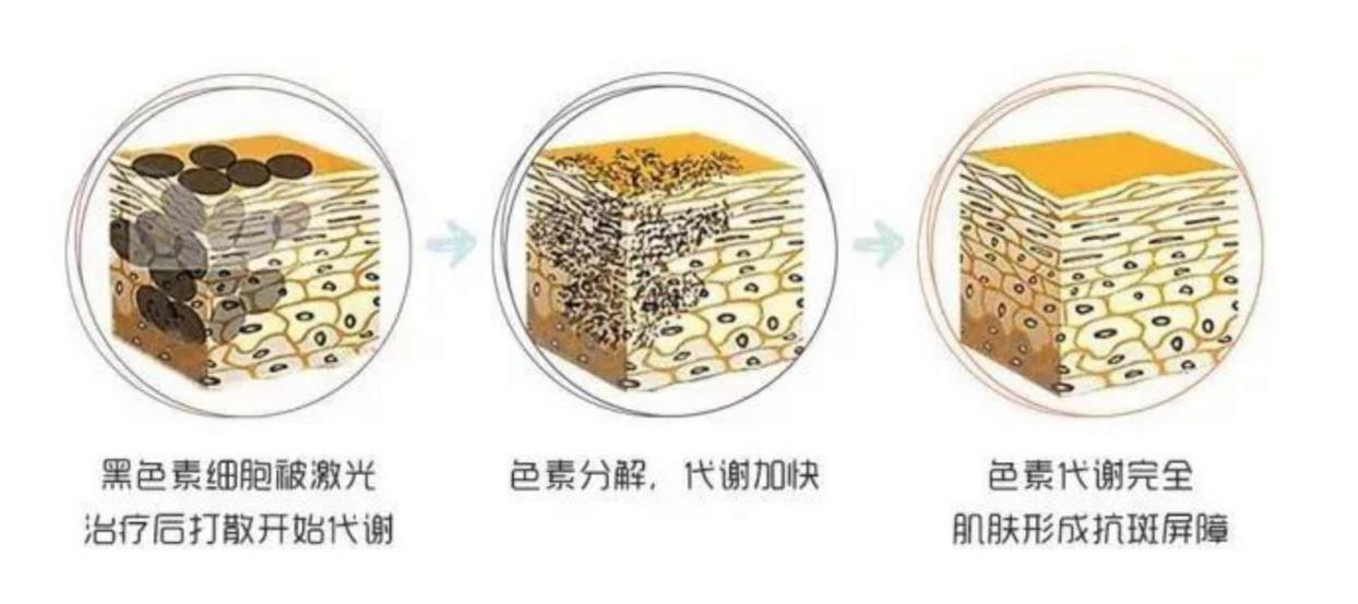 沧州耳再造优惠价格均价公布(2024沧州耳再造参考价为：18350元)