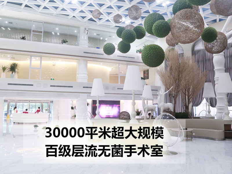 郑州半有效纹眉价格表线上公布(2024郑州半有效纹眉参考价为：17475元)