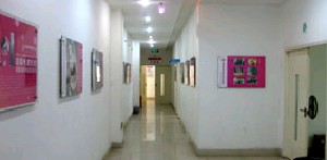 衡阳玻尿酸去黑眼圈报价多少钱合适(2024衡阳玻尿酸去黑眼圈参考价为：16931元)