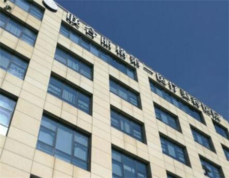 北京白瓷娃娃费用是多少呐(2024北京白瓷娃娃参考价为：3963元)