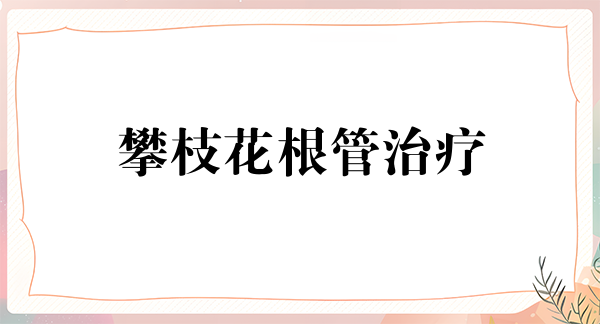 攀枝花根管治疗报价多少钱合适(2024攀枝花根管治疗参考价为：955元)