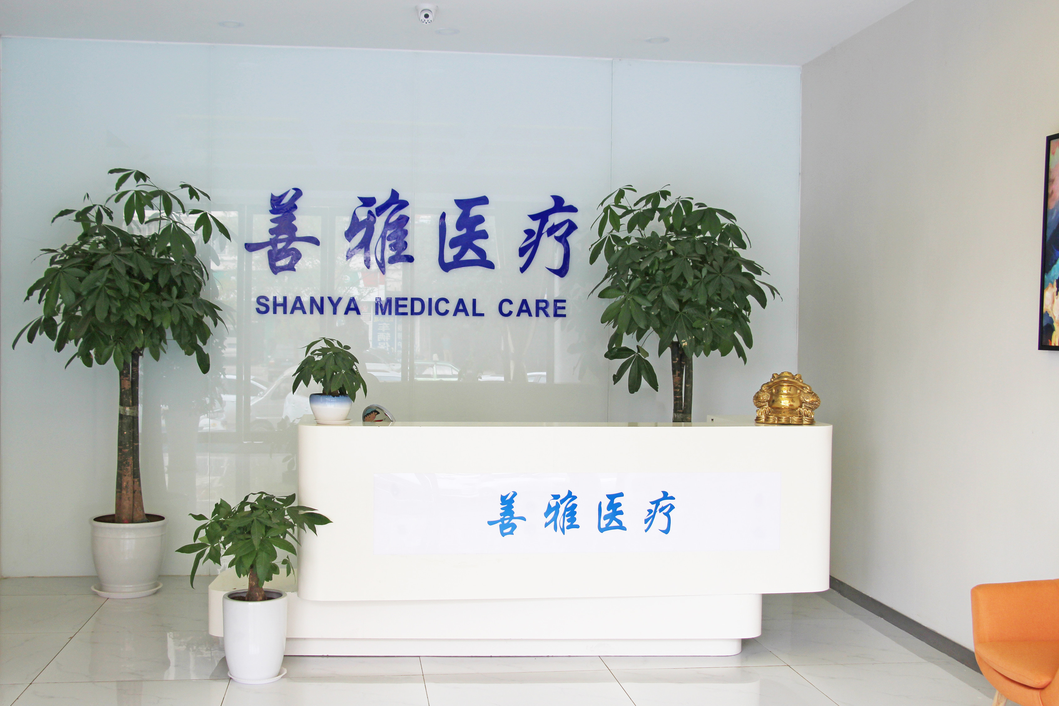 郑州乳房下垂矫正价位表2024新版全网发布(2024郑州乳房下垂矫正参考价为：29995元)