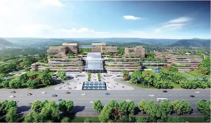衢州市人民医院口腔科种牙怎么样？提供优质诊疗服务，设备先进