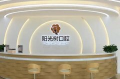 阳光树口腔种植牙价格表
