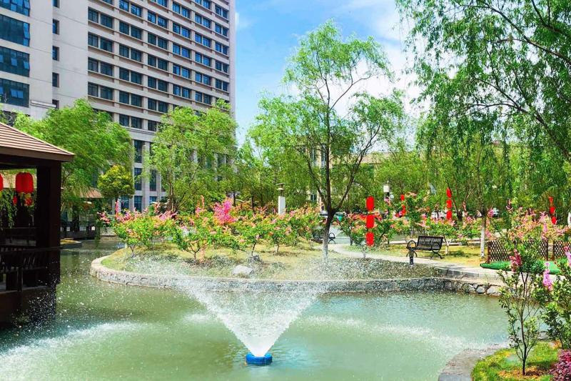 合肥locator半口种植价格表2024发布(2024合肥locator半口种植均价为：5285元)