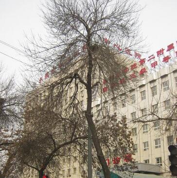 承德市中心医院口腔科电