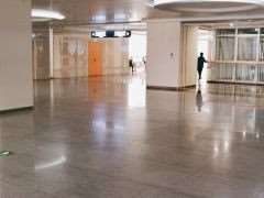 合肥壹加壹美容耳部整形收费价格表，隐耳修复：1442\小耳畸形矫正：2206起