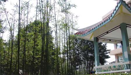 合肥嘟嘟唇整形价格在线公布(2025合肥嘟嘟唇整形参考价为：3732元)