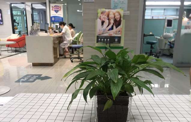 宿州牙齿治疗价位表2024新版全网发布(2024宿州牙齿治疗参考价为：1837元)