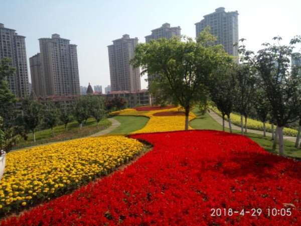 重庆眼部整形收费价格表，眼皮下垂矫正：1164\眼部多项：58起
