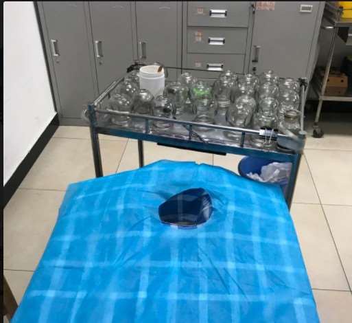 福州格莱美美容美体塑形收费价目表，腿型矫正：833\溶脂瘦背：3458起