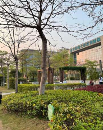 深圳植发养发价格在线公布(2025深圳植发养发参考价为：22336元)