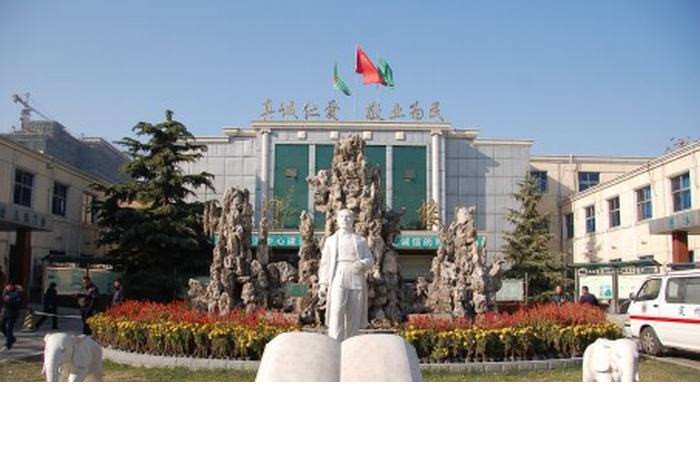 保定鼻部整形收费价格表，肥厚鼻尖鼻翼矫正术：2402\朝天鼻矫正：3384起