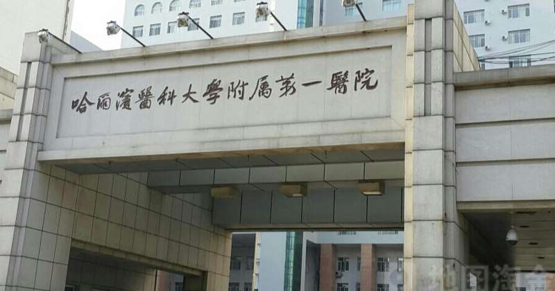 哈尔滨皮肤美容收费价目表，微针：1203\椭圆形疤痕矫正：793起