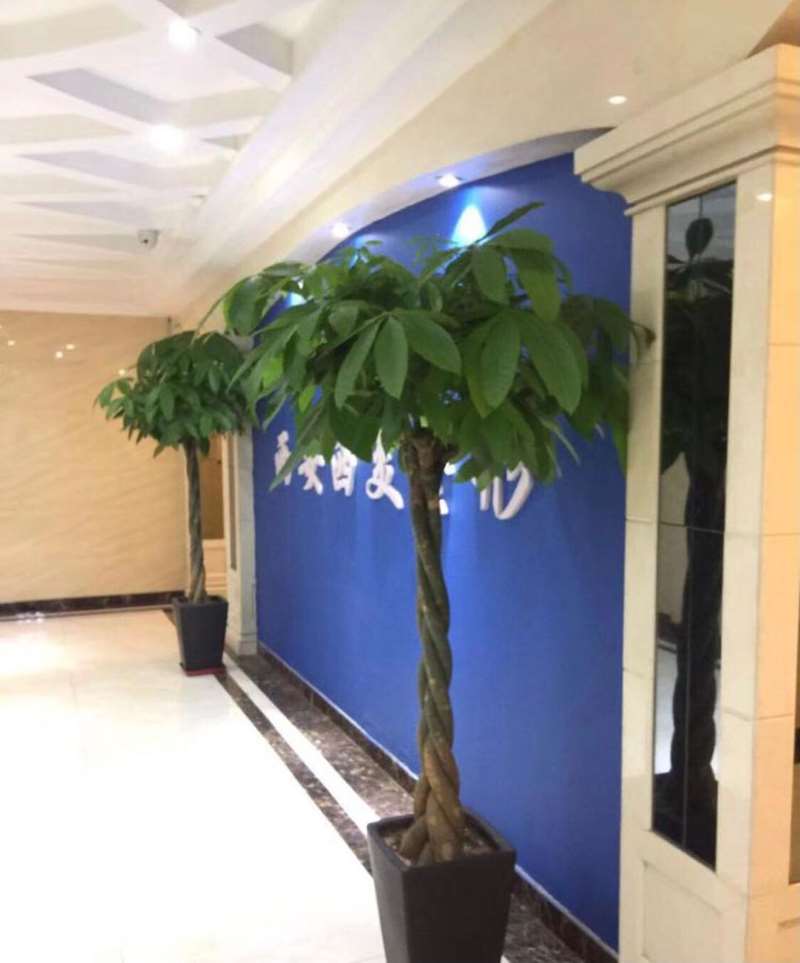 西安伊美尔皮肤美容收费价格表，去红血丝：2764\去痘印痘坑：2049起