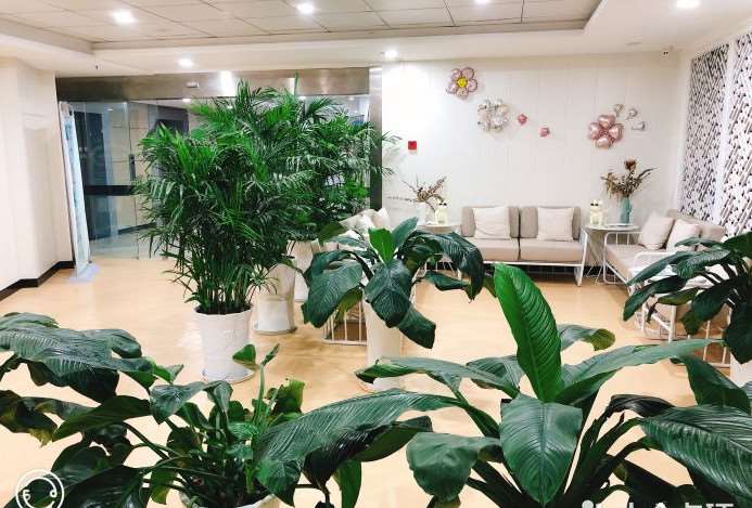 南京口唇整形收费价格表，小切口手术提升：3016\纹唇：4476起
