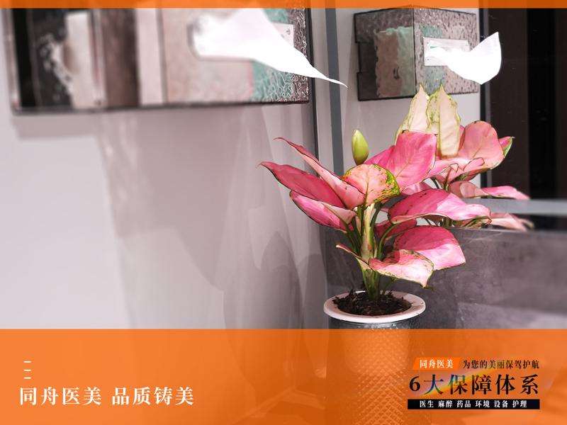 无锡玻尿酸收费价格表，玻尿酸塑形：2440\玻尿酸抗衰：2079起