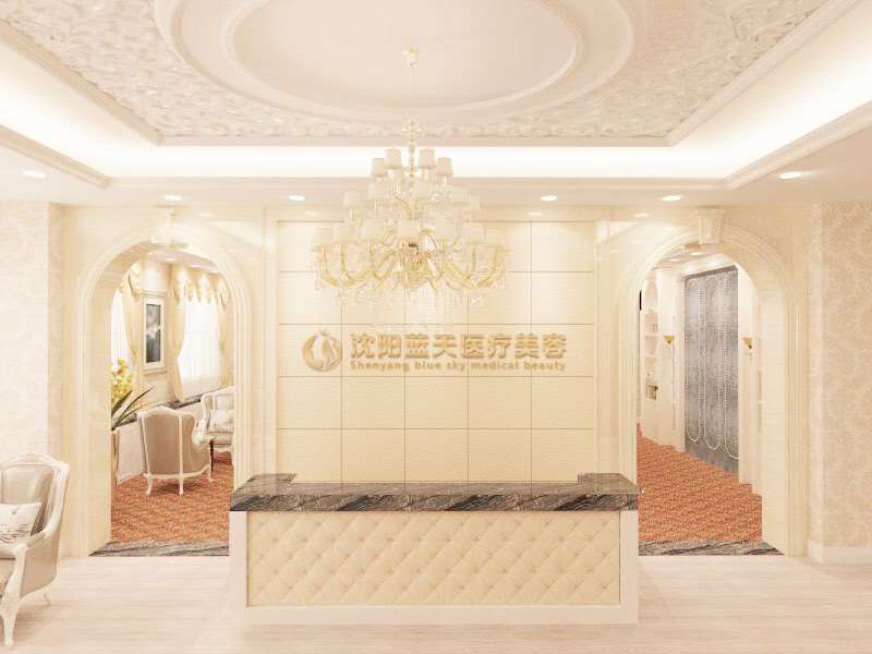 沈阳蓝天医疗美容美体塑形收费价目表，溶脂瘦背：2232\冷冻溶脂：1336起