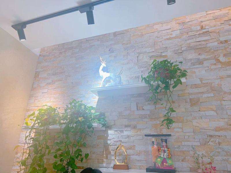 沈阳美体塑形收费价格表，瘦肚子：3209\腹壁成形：1138起